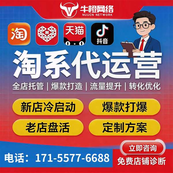 绵竹电商代运营