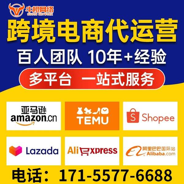 绵竹电商代运营