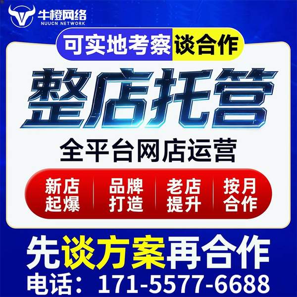 绵竹电商代运营