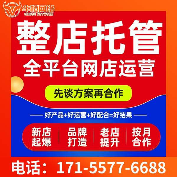 绵竹电商代运营