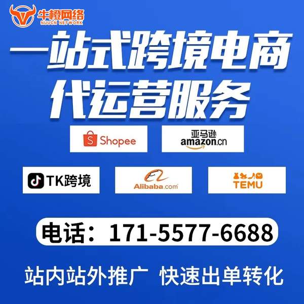 绵竹电商代运营