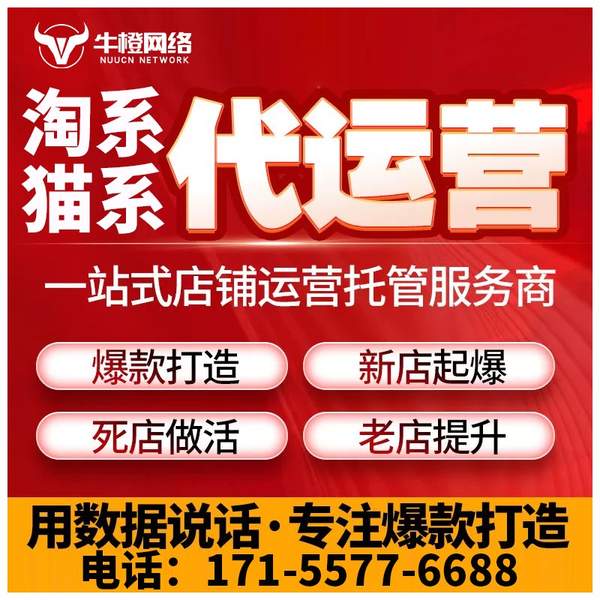 绵竹电商代运营
